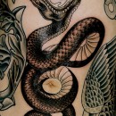 Chest tattoo by Alex Binnie of black and grey traditional snake going to bite an apple with a banner around it. Written on the banner is the word Truth.