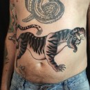 large black and grey tiger on sexy mans stomach