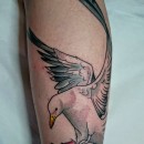 colour tattoo of seagull landing