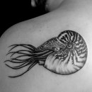 black and grey nautilus tattoo